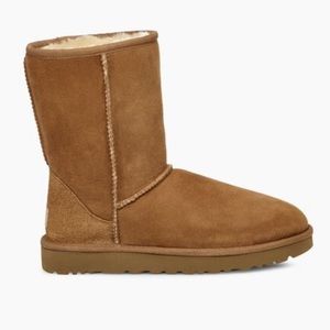 Classic Short Ugg Boots